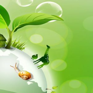 Công Văn 4249/BTNMT-TCMT 2014 Tăng Cường Bảo Vệ Môi Trường