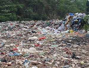 Đô Thị Việt Nam “gặp Họa” Vì ô Nhiễm Môi Trường đất